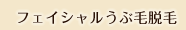 フェイシャルうぶ毛脱毛